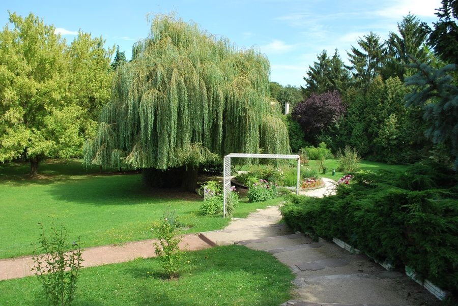 Logis Hotel Maison Carree Restaurant O Carre Dart Méréville 외부 사진